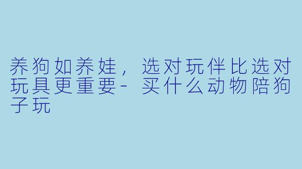 养狗如养娃，选对玩伴比选对玩具更重要