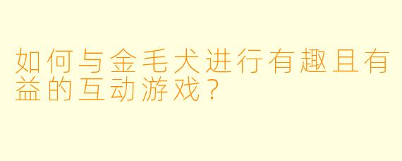 如何与金毛犬进行有趣且有益的互动游戏?
