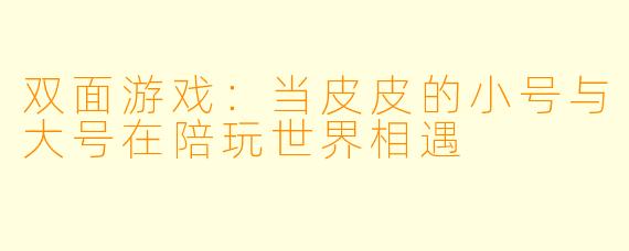 双面游戏:当皮皮的小号与大号在陪玩世界相遇