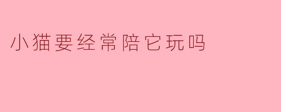 小猫要经常陪它玩吗