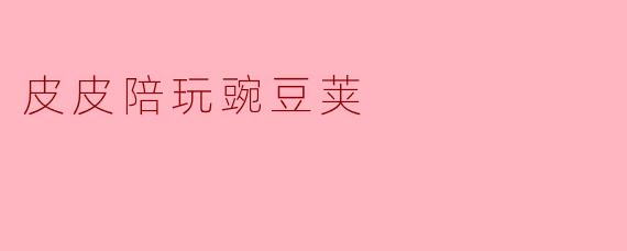 皮皮陪玩豌豆荚