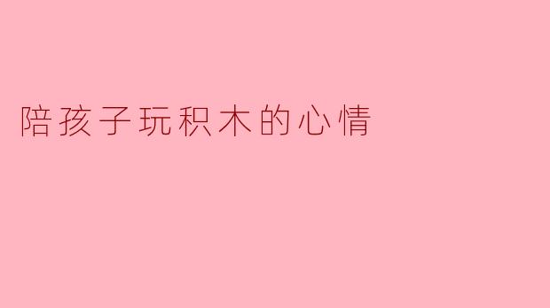 陪孩子玩积木的心情