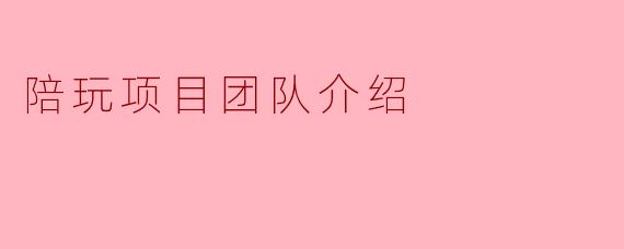 陪玩项目团队介绍