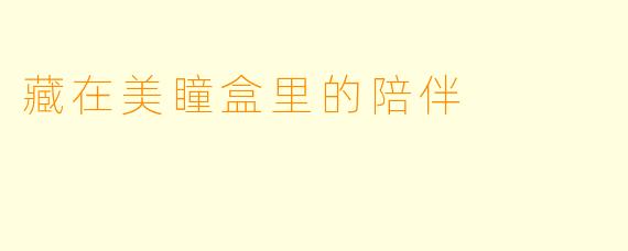 藏在美瞳盒里的陪伴