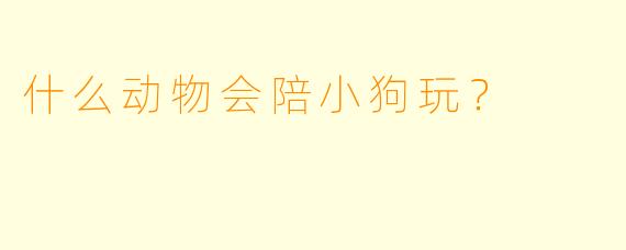 什么动物会陪小狗玩？