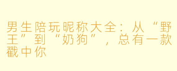 男生陪玩昵称大全：从“野王”到“奶狗”，总有一款戳中你