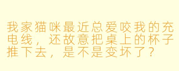 我家猫咪最近总爱咬我的充电线,还故意把桌上的杯子推下去,是不是变坏了?
