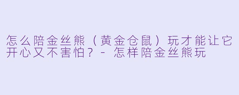 怎么陪金丝熊(黄金仓鼠)玩才能让它开心又不害怕?-怎样陪金丝熊玩