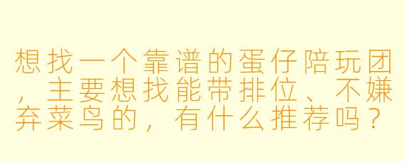 想找一个靠谱的蛋仔陪玩团,主要想找能带排位、不嫌弃菜鸟的,有什么推荐吗?