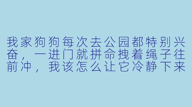 我家狗狗每次去公园都特别兴奋,一进门就拼命拽着绳子往前冲,我该怎么让它冷静下来,好好享受散步呢?