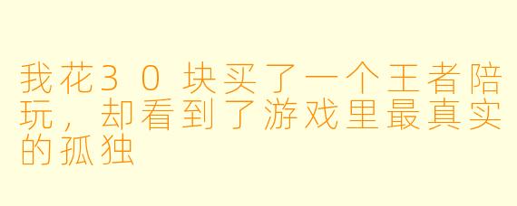 我花30块买了一个王者陪玩,却看到了游戏里最真实的孤独