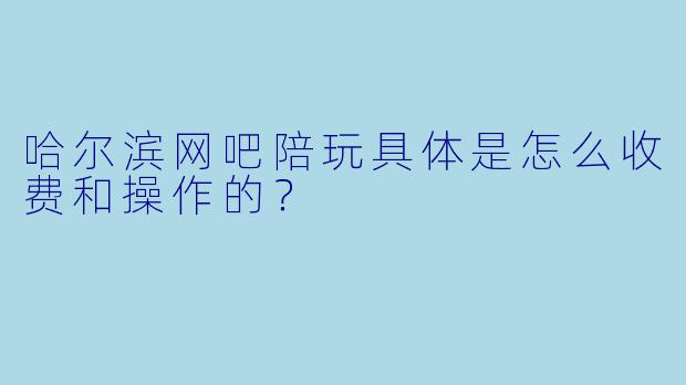 哈尔滨网吧陪玩具体是怎么收费和操作的?