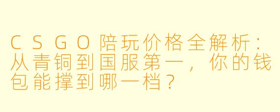 CSGO陪玩价格全解析:从青铜到国服第一,你的钱包能撑到哪一档?