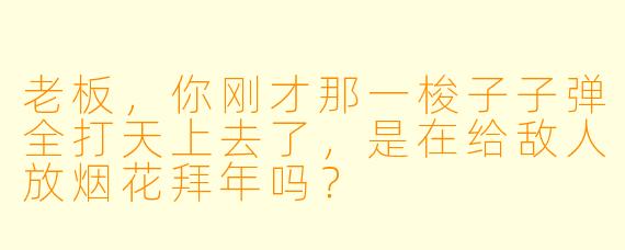 老板，你刚才那一梭子子弹全打天上去了，是在给敌人放烟花拜年吗？