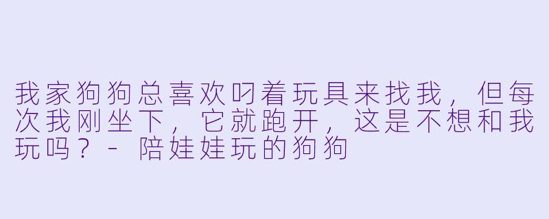 我家狗狗总喜欢叼着玩具来找我，但每次我刚坐下，它就跑开，这是不想和我玩吗？-陪娃娃玩的狗狗