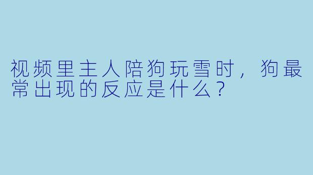 视频里主人陪狗玩雪时，狗最常出现的反应是什么？