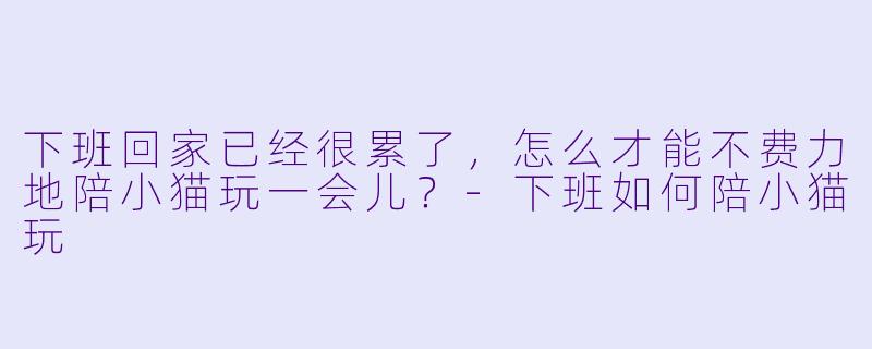 下班回家已经很累了，怎么才能不费力地陪小猫玩一会儿？