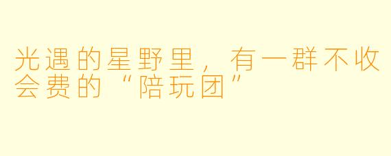 光遇的星野里,有一群不收会费的“陪玩团”