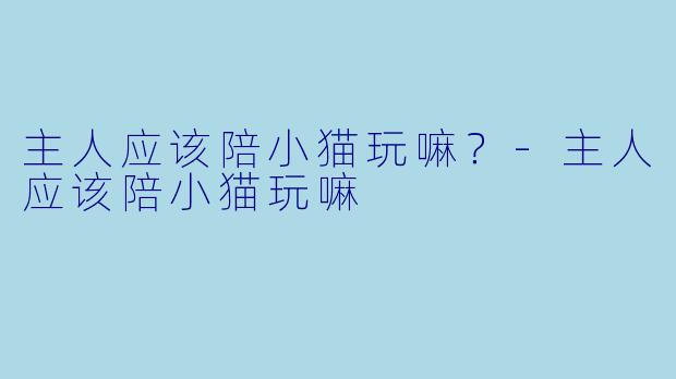 主人应该陪小猫玩嘛？-主人应该陪小猫玩嘛