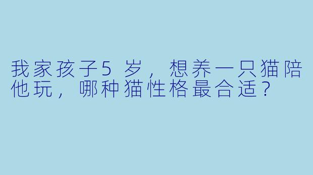 我家孩子5岁，想养一只猫陪他玩，哪种猫性格最合适？
