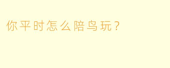 你平时怎么陪鸟玩？
