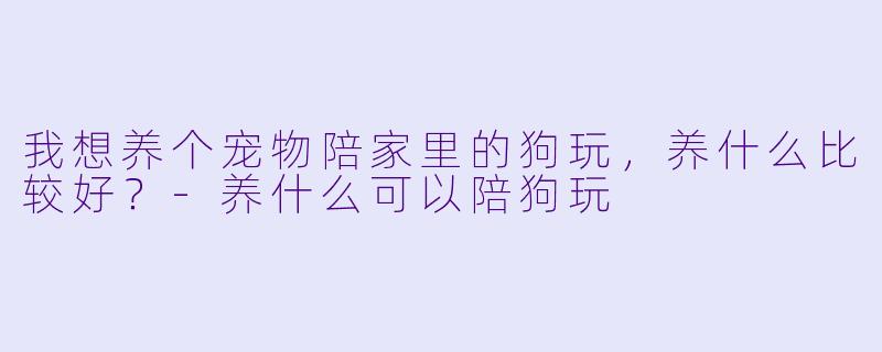 我想养个宠物陪家里的狗玩，养什么比较好？-养什么可以陪狗玩