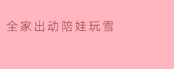 全家出动陪娃玩雪