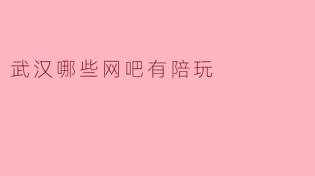 武汉哪些网吧有陪玩