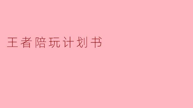王者陪玩计划书