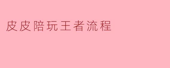 皮皮陪玩王者流程