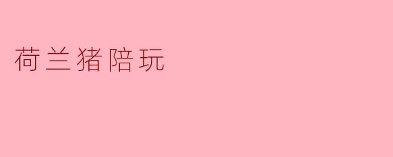 荷兰猪陪玩