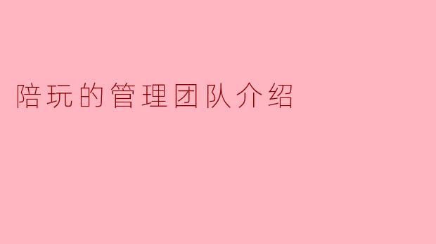 陪玩的管理团队介绍