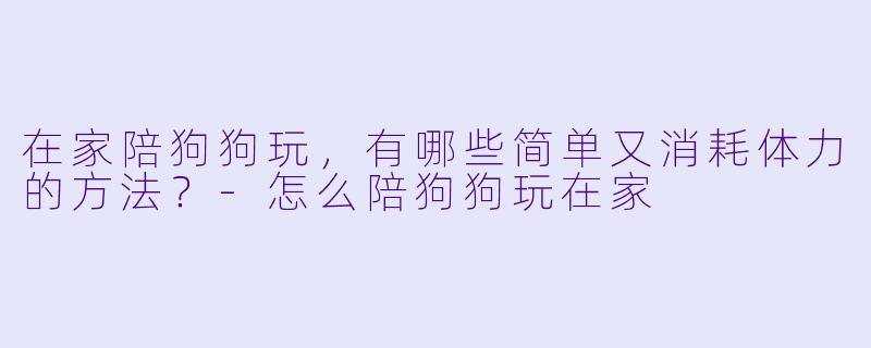在家陪狗狗玩，有哪些简单又消耗体力的方法？