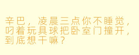 辛巴，凌晨三点你不睡觉，叼着玩具球把卧室门撞开，到底想干嘛？