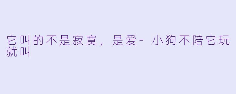 它叫的不是寂寞,是爱-小狗不陪它玩就叫