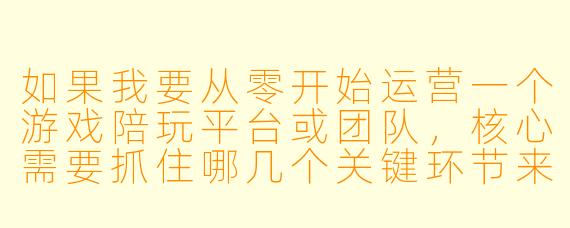 如果我要从零开始运营一个游戏陪玩平台或团队，核心需要抓住哪几个关键环节来确保它能快速起步并持续盈利？