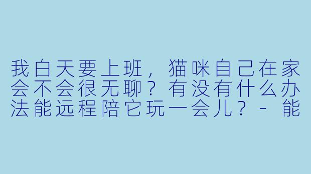 我白天要上班，猫咪自己在家会不会很无聊？有没有什么办法能远程陪它玩一会儿？
