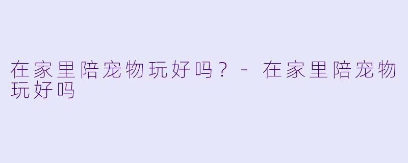 在家里陪宠物玩好吗？