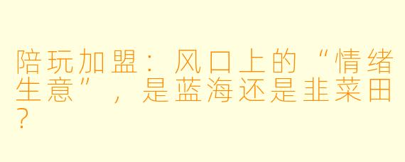 陪玩加盟：风口上的“情绪生意”，是蓝海还是韭菜田？