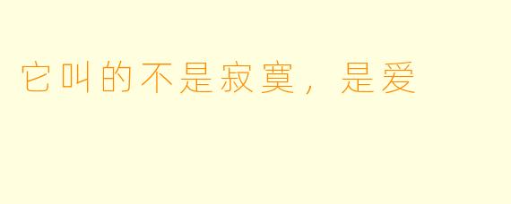它叫的不是寂寞,是爱