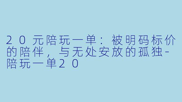 20元陪玩一单：被明码标价的陪伴，与无处安放的孤独-陪玩一单20