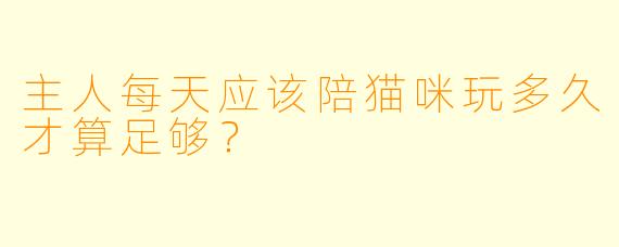 主人每天应该陪猫咪玩多久才算足够？