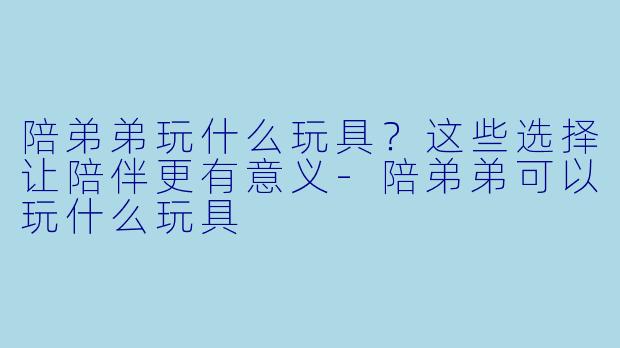 陪弟弟玩什么玩具？这些选择让陪伴更有意义