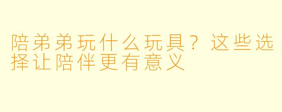 陪弟弟玩什么玩具?这些选择让陪伴更有意义