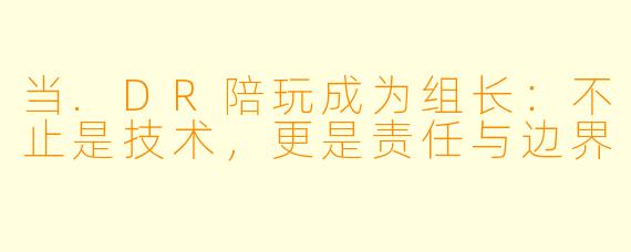 当.DR陪玩成为组长：不止是技术，更是责任与边界