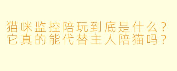 猫咪监控陪玩到底是什么？它真的能代替主人陪猫吗？