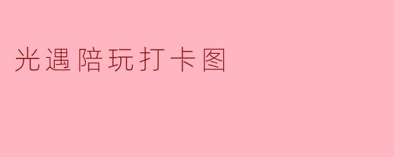 在《光·遇》里，“陪玩打卡图”通常指的是什么？