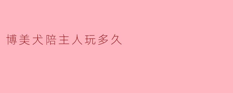 博美犬每天需要陪主人玩多久？