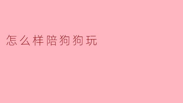怎么样陪狗狗玩