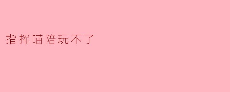 指挥喵陪玩不了